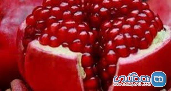 بهترین خوراکی ها برای درمان کم خونی را بشناسید بهترین خوراکی ها برای درمان کم خونی را بشناسید