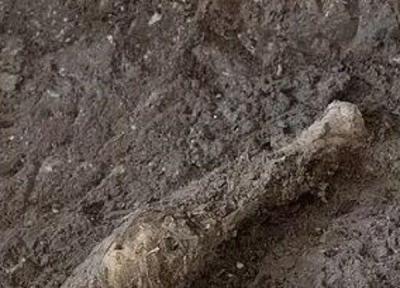 نتیجه آنالیز بقایای 1600 ساله یک گوسفند در معدن نمک زنجان منتشر شد